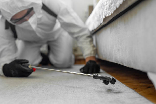 Professional Cockroach Control technician working in Big Rapids, MI