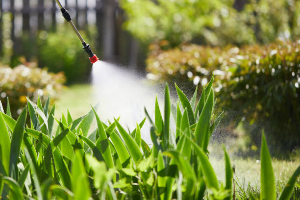 24/7 Emergency Cockroach Control experts in Big Rapids, MI