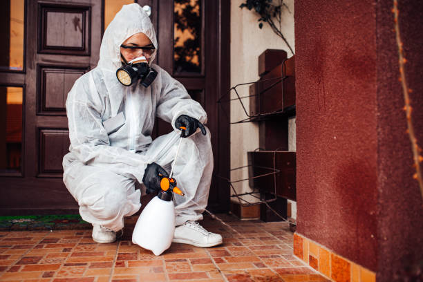 Reliable Cockroach Control contractor in Big Rapids, MI by Nex Pest Control