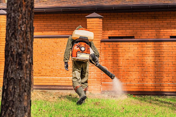 Top rated local Cockroach Control specialists in Big Rapids, MI
